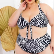 Biquíni Plus Size Zebra